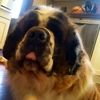wendybarry794